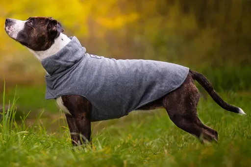 Vsepropejska Kate fleecová mikina pro psa Barva: Šedá, Délka zad (cm): 43, Obvod hrudníku: 48 - 64 cm