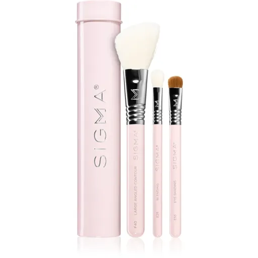 Sigma Beauty Essential sada štětců s pouzdrem