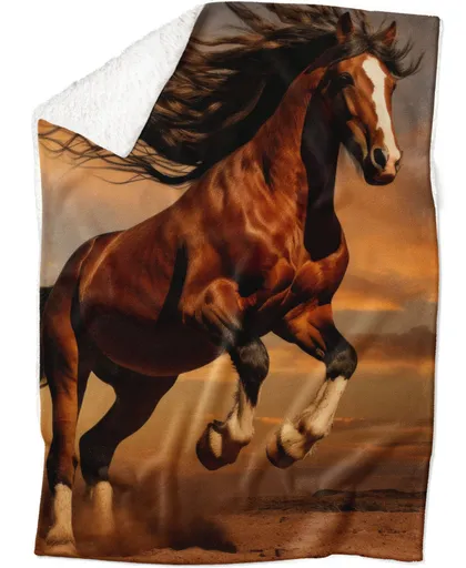 Deka Divoký kůň (Podšití beránkem: ANO)