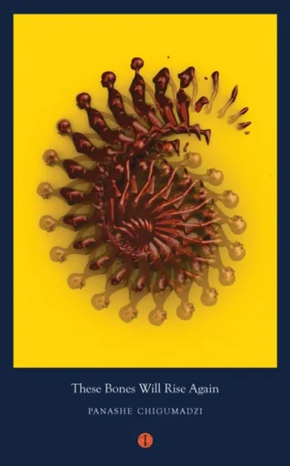 These Bones Will Rise Again - Panashe  Chigumadzi