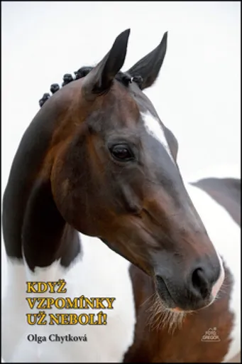 Když vzpomínky už nebolí! - Dalibor Gregor, Olga Chytková