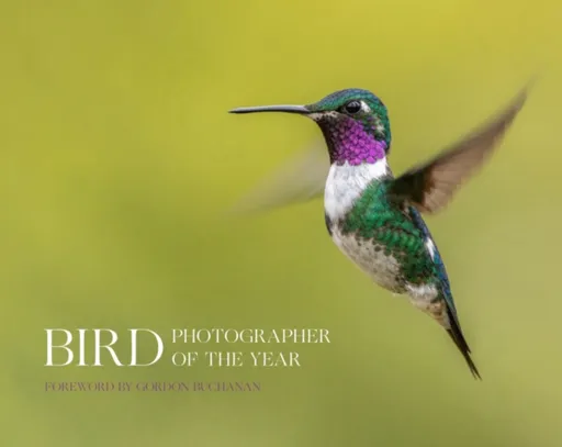 Bird Photographer of the Year - Bird Photographer of the Year