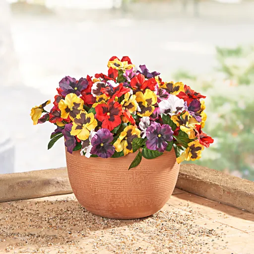 3 kytice do truhlíku Macešky