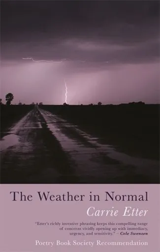 The Weather in Normal - Carrie Etter