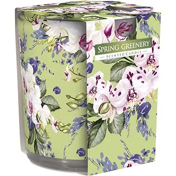 BISPOL jarní zeleň 100 g (5906927041766)