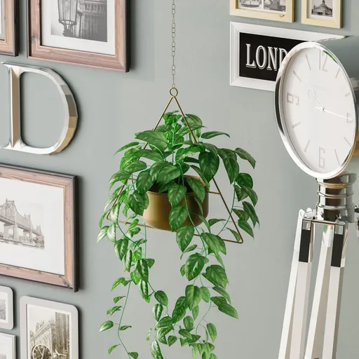 Dekorativní květináč Harpusta - Gold