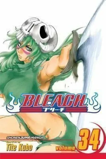 Bleach, Vol. 34 - Tite Kubo