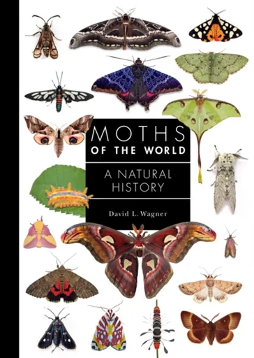 Moths of the World - David L. Wagner