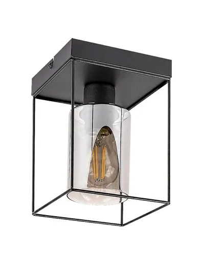 Rabalux Černé stropní svítidlo Chadwick pro žárovku E27 71031