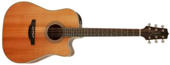 Takamine GD20CE-NS