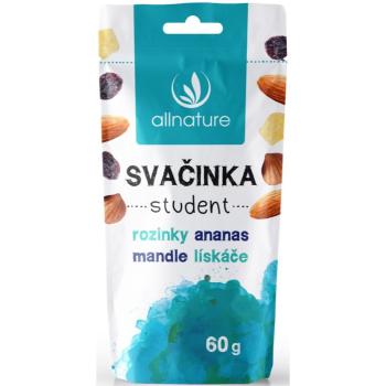 Allnature Svačinka Student směs ořechů a sušených plodů 60 g