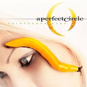 A Perfect Circle - Thirteenth Step (Reissue) (2 LP)