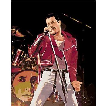 Diamondi - Diamantové malování - FREDDIE NA PÓDIU, 40x50 cm, Vypnuté plátno na rám (606100B)