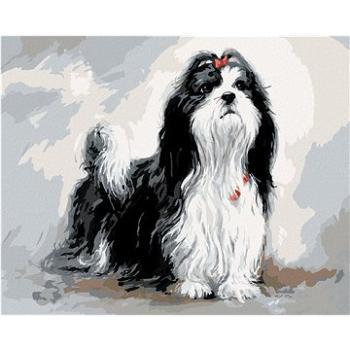 Zuty - Malování podle čísel – SHIH-TZU S ČERVENOU MAŠLÍ  (JIM KILLEN), 80x100 cm, vypnuté plátno na  (HRAmmb04555nad)