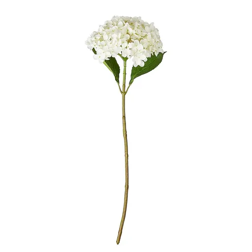 FLORISTA Hortenzie  63 cm - bílá