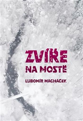 Zvíře na mostě - Lubomír Macháček