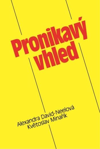 Pronikavý vhled - Květoslav Minařík - e-kniha