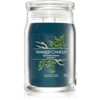 Yankee Candle Bayside Cedar vonná svíčka I. Signature 567 g