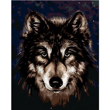 Hlava huskyho na tmavém pozadí, 80×100 cm, vypnuté plátno na rám (6051703)