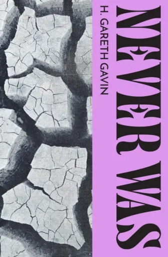 Never Was - Honor Gavin