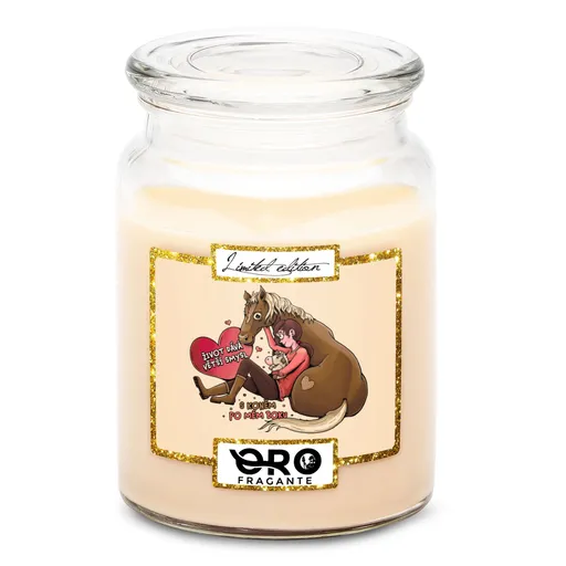 Svíčka Život dává smysl s koněm (Vůně svíčky: Vanilka)