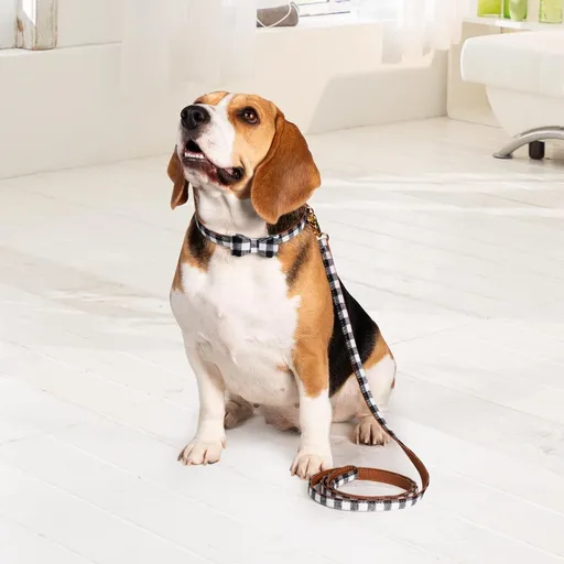 Die moderne Hausfrau Sada obojků a vodítka pro pejsky Karo