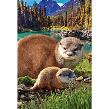 Eurographics Puzzle Save Our Planet: Vydry XL 250 dílků (8251-5558)