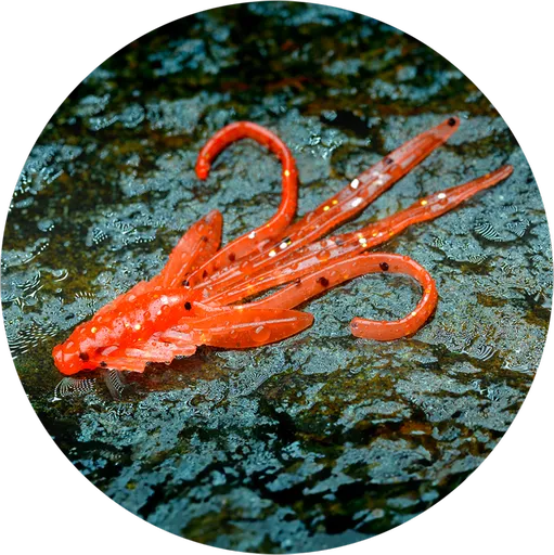 Redbass gumová nástraha nymfa orange g - s 53 mm