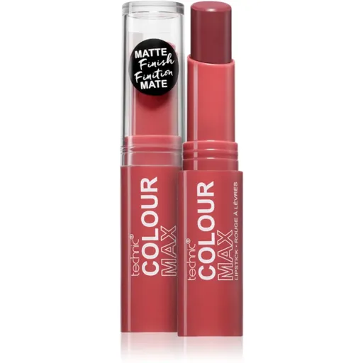 Technic Cosmetics Colour Max matná rtěnka odstín Kiss Catch 3.5 g