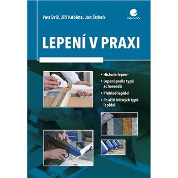 Lepení v praxi (978-80-271-0247-1)