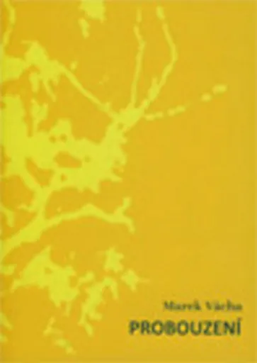 Probouzení - Marek Orko Vácha