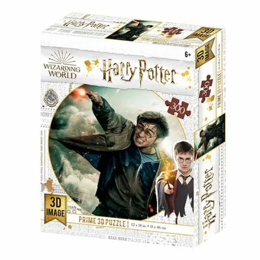 Harry Potter 3D puzzle - Harry Potter 300 dílků