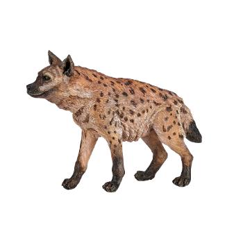 Hyena skvrnitá