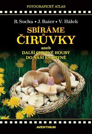 Sbíráme čirůvky a další chutné houby do naší kuchyně - Radomír Socha, Jiří Baier, Václav Hálek