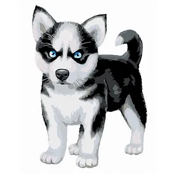 Malování podle čísel - Modrooký husky (HRAmal00691nad)