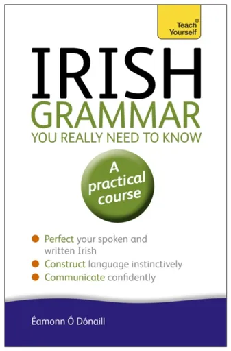 Irish Grammar You Really Need to Know: Teach Yourself - Eamonn O'Donaill