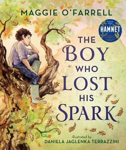 The Boy Who Lost His Spark - Maggie O’Farrellová