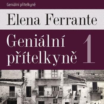 Geniální přítelkyně I. - Elena Ferrante - audiokniha