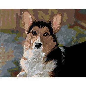 Zuty - Malování podle čísel – WELSH CORGI PEMBROKE (VICTORIA SCHULTZ), 80x100 cm, vypnuté plátno na  (HRAmmb04243nad)