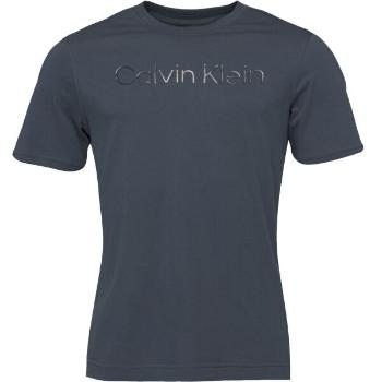 Calvin Klein PW - S/S T-SHIRT Pánské triko, tmavě modrá, velikost