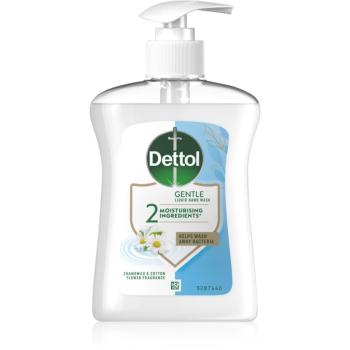 Dettol Soft on Skin Gentle Chamomile tekuté mýdlo na ruce 250 ml