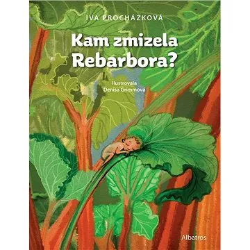 Kam zmizela Rebarbora? (978-80-000-6906-7)