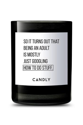 Candly - Vonná sójová svíčka So it turns out that being an adult is mostly just googling hot to do stuff 250 g