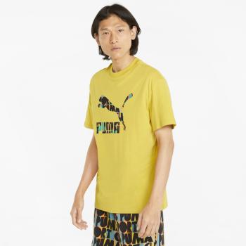 Puma HC Graphic Tee Bamboo M