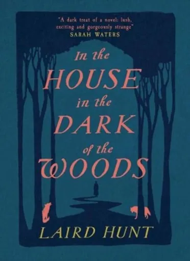In the House in the Dark of the Woods - Laird Hunt