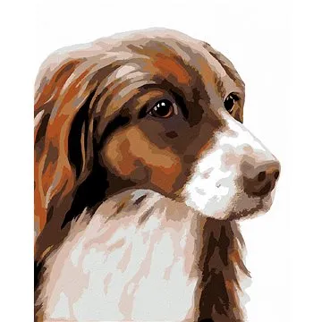 Zuty - Malování podle čísel - KOKRŠPANĚL (MYROSLAVA VOLOSCHUK), 80x100 cm, vypnuté plátno na rám (HRAmmb00375nad)