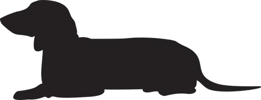 Vsepropejska Jezevčík 6 dřevěná dekorace na zeď Rozměr (cm): 14 x 38