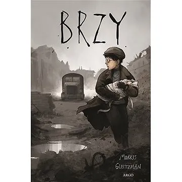Brzy (9788025733912)