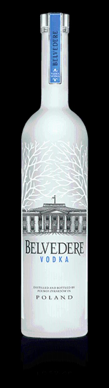 Belvedere 40% 0,7l