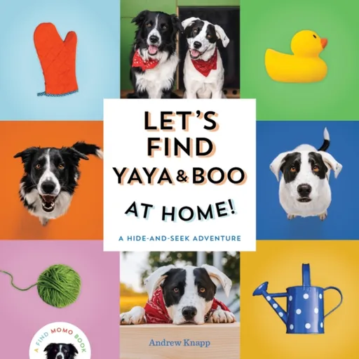 Let's Find Yaya and Boo at Home! - Andrew Knapp